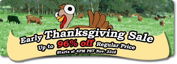 banner_thanksgivingsale2009