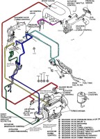 the simplfied rat's nest